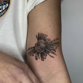 DAVID 9 - The Black Hat Tattoo