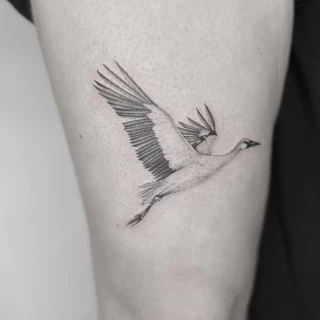 Molly guest artist fine line_(15) - The Black Hat Tattoo