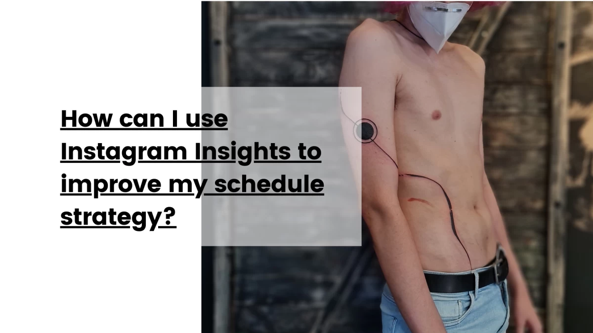 How can I use Instagram Insights to improve my schedule strategy