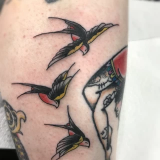 Swallow colors - Bird Tattoo - Black Hat Tattoo Dublin - The Black Hat Tattoo