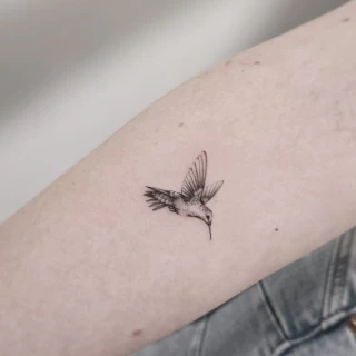 Molly guest artist fine line_(17) - The Black Hat Tattoo