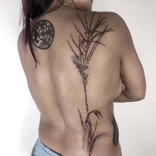 plant - The Black Hat Tattoo