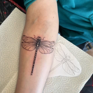 Dragonfly Tattoo on lower arm - Black Hat Tattoo Dublin - The Black Hat Tattoo