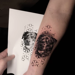 Dog Microrealism - Realism, Microrealism and Portrait Tattoo - Black Hat Tattoo Dublin - The Black Hat Tattoo