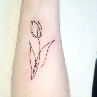 Tulip - Tattoo Fine Line and Line Work - Black Hat Tattoo Dublin - The Black Hat Tattoo