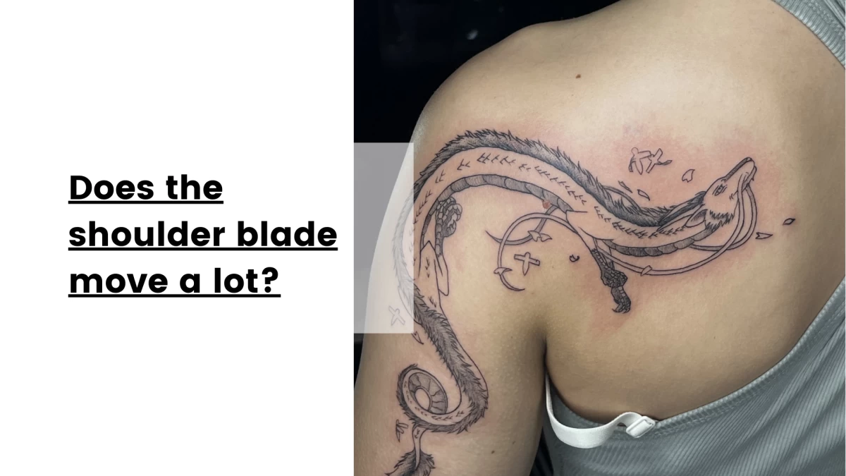 Does the shoulder blade move a lot
