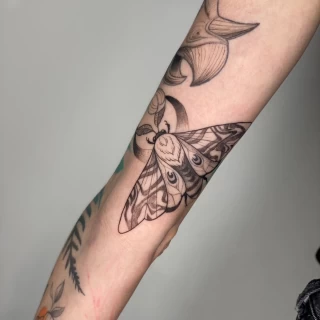 Moth and floral  Insect Tattoo - Black Hat Tattoo Dublin - - The Black Hat Tattoo