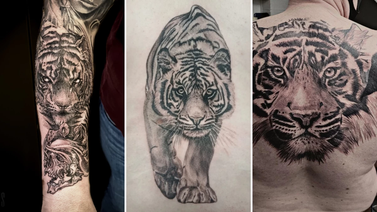 Tiger Tattoo - Black Hat Tattoo Dublin 2