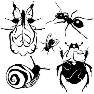 IMG_0553 - The Black Hat Tattoo