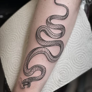 Snake tattoo fine lines - Minimalism Dotwork and Linework  - Black Hat Tattoo Dublin - The Black Hat Tattoo