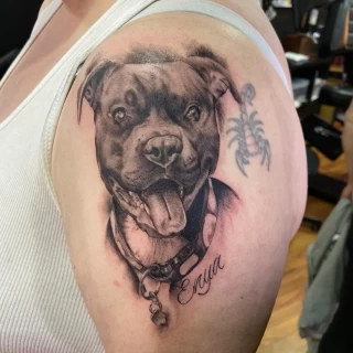 Dog portrait Pet Tattoo - Black Hat Tattoo Dublin - The Black Hat Tattoo
