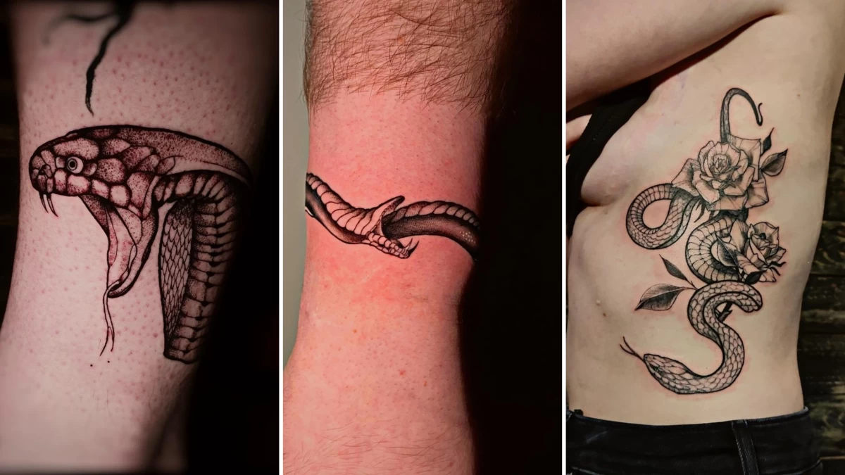 Snake Tattoo - Black Hat Tattoo Dublin 4