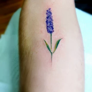 Lavender Flower Tattoo - Color Watercolor and Sketch Tattoos - Black Hat Tattoo Dublin - The Black Hat Tattoo